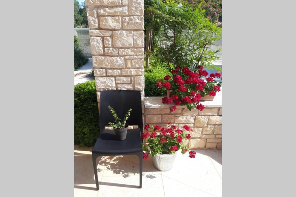 For Families Only - Casa Nora Novigrad Villa Novigrad  ภายนอก รูปภาพ